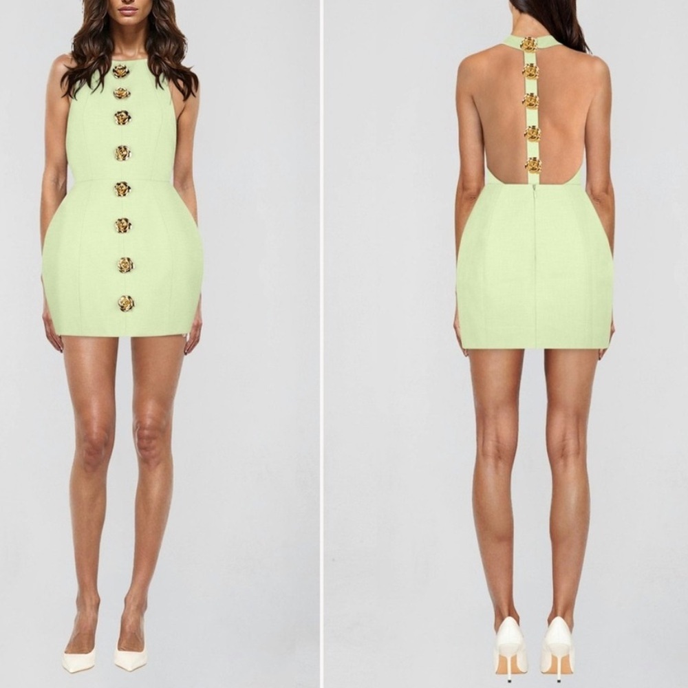 NWT Atoir Tiffany Dress Rose Floral Button Open Back Mint Green Sz 2